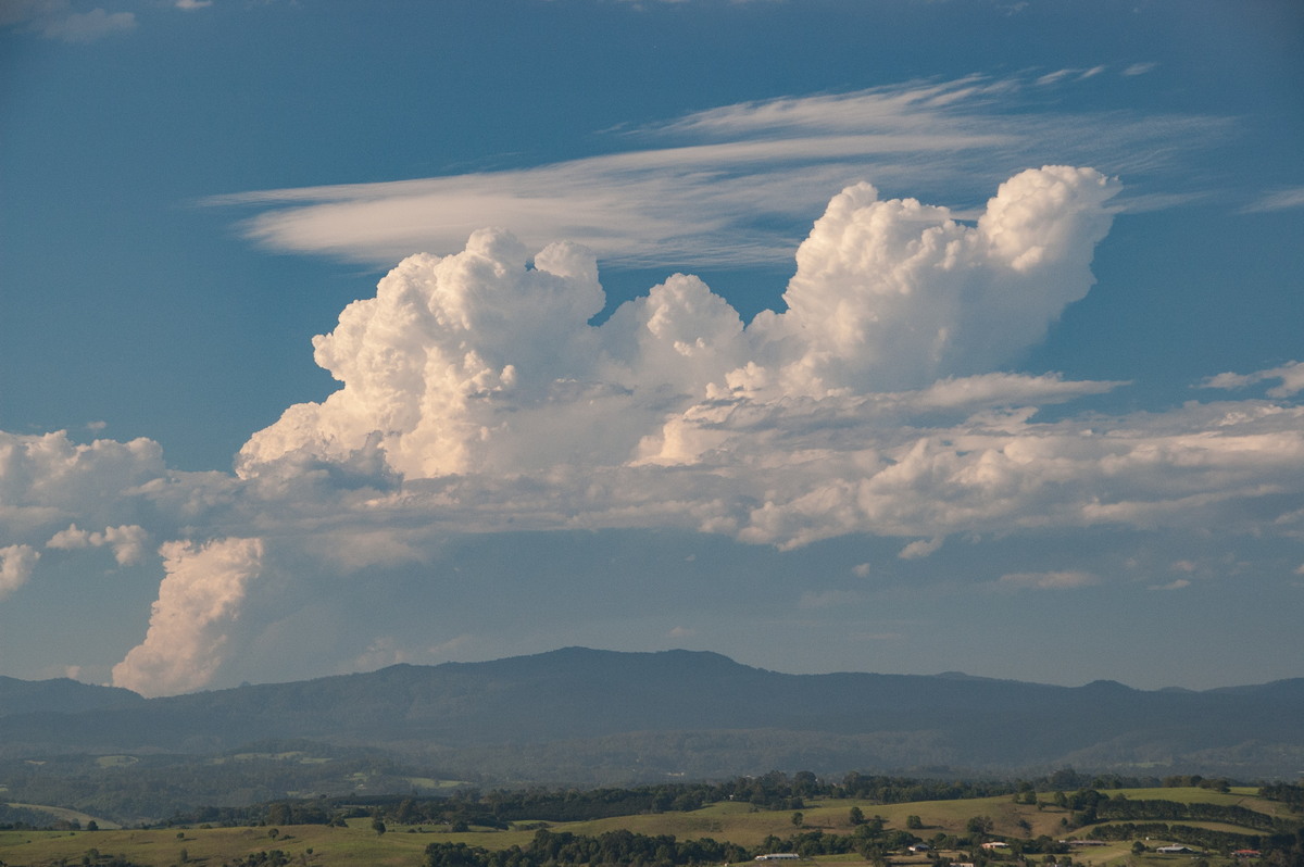 pileus pileus_cap_cloud : McLeans Ridges, NSW   2 December 2008