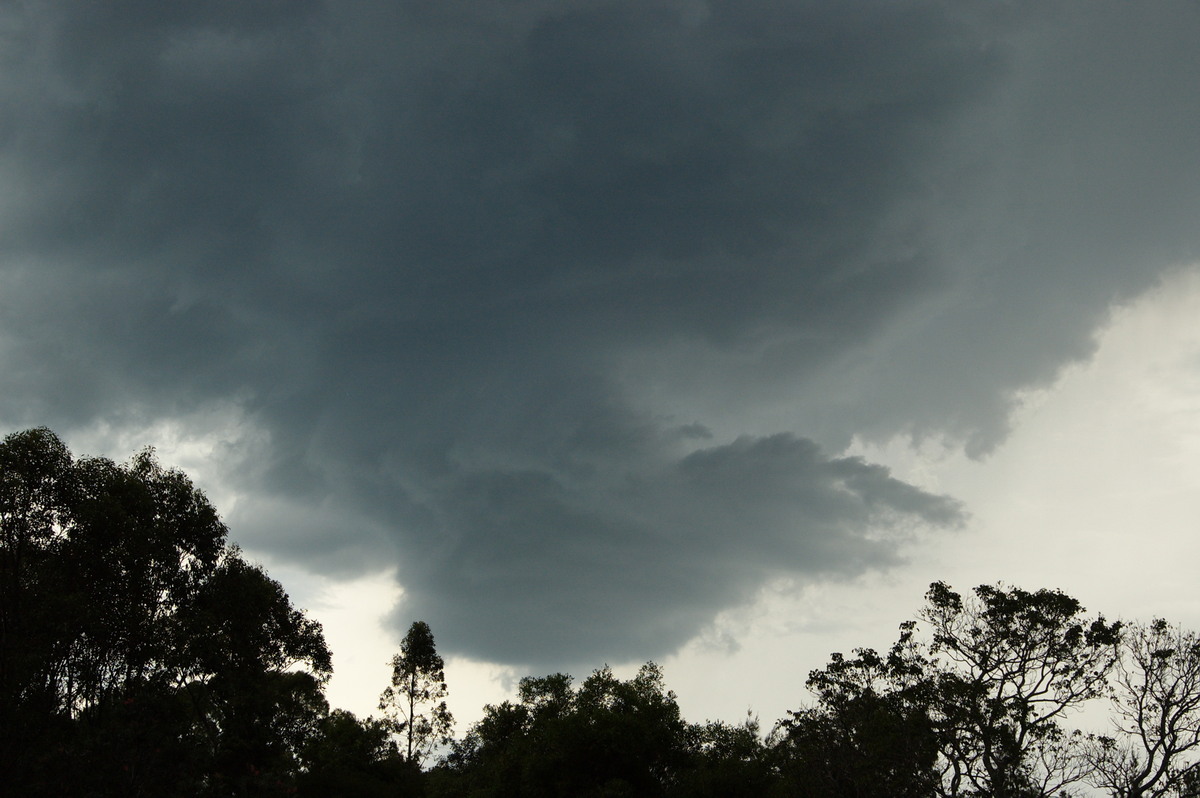 wallcloud thunderstorm_wall_cloud : McLeans Ridges, NSW   3 December 2008
