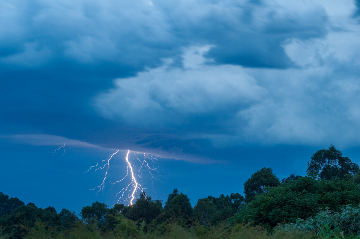 lightning lightning_bolts : McLeans Ridges, NSW   6 December 2008