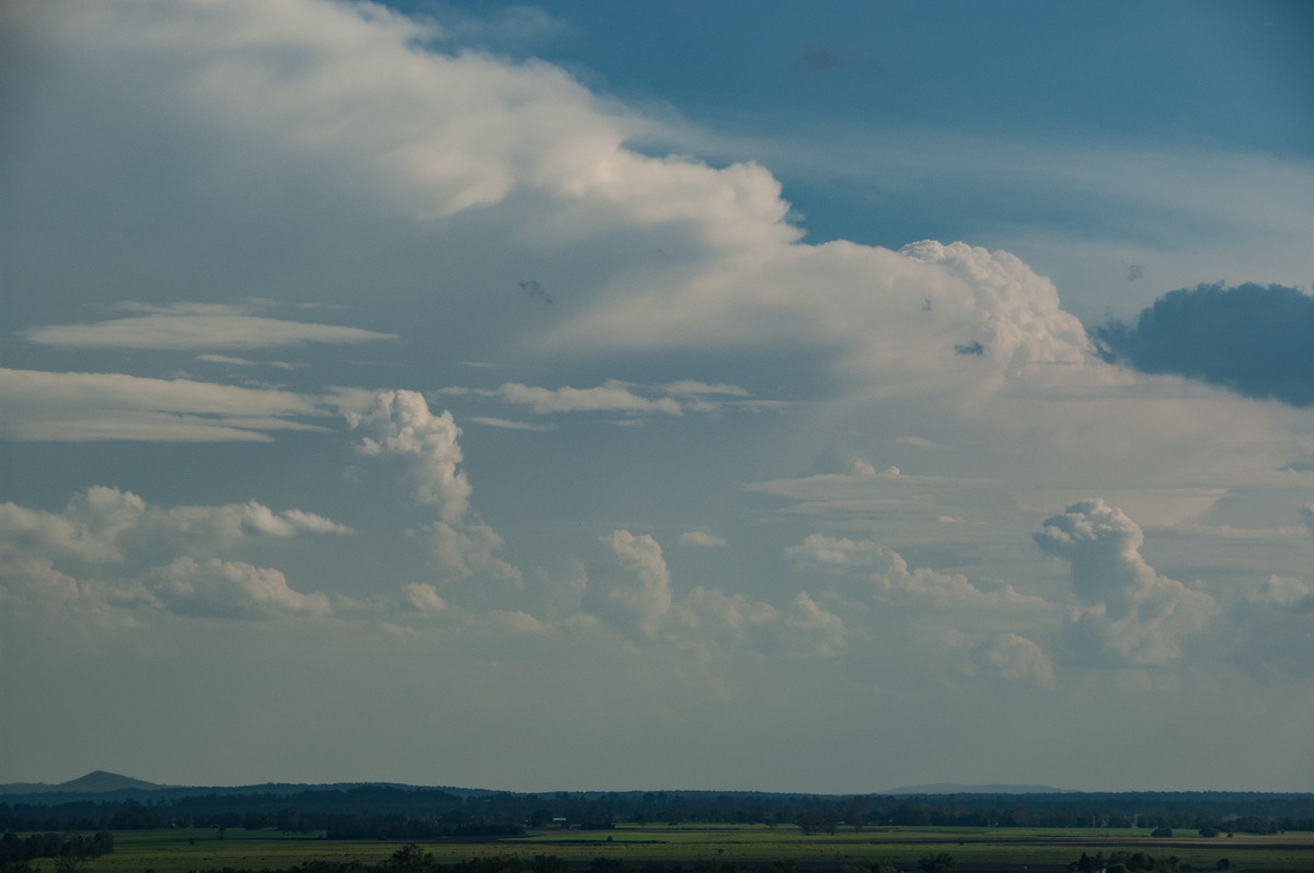 thunderstorm cumulonimbus_incus : Parrots Nest, NSW   10 December 2008