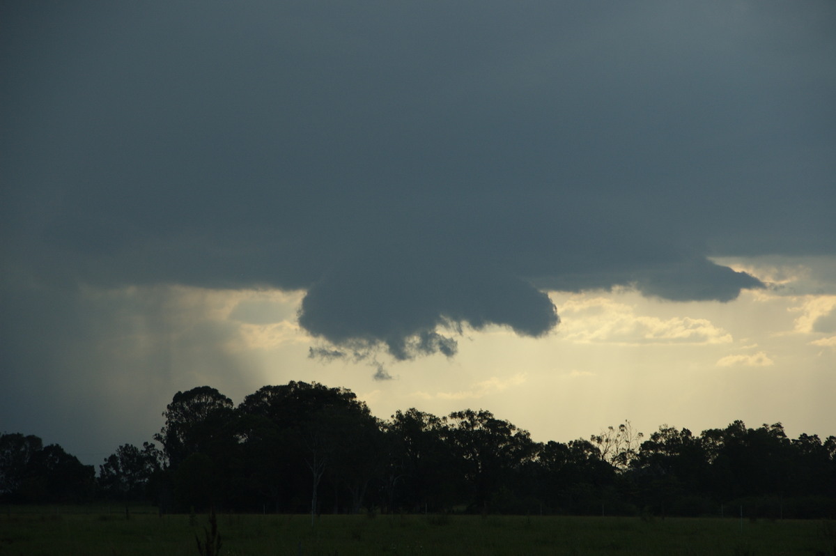 wallcloud thunderstorm_wall_cloud : Ruthven, NSW   10 December 2008