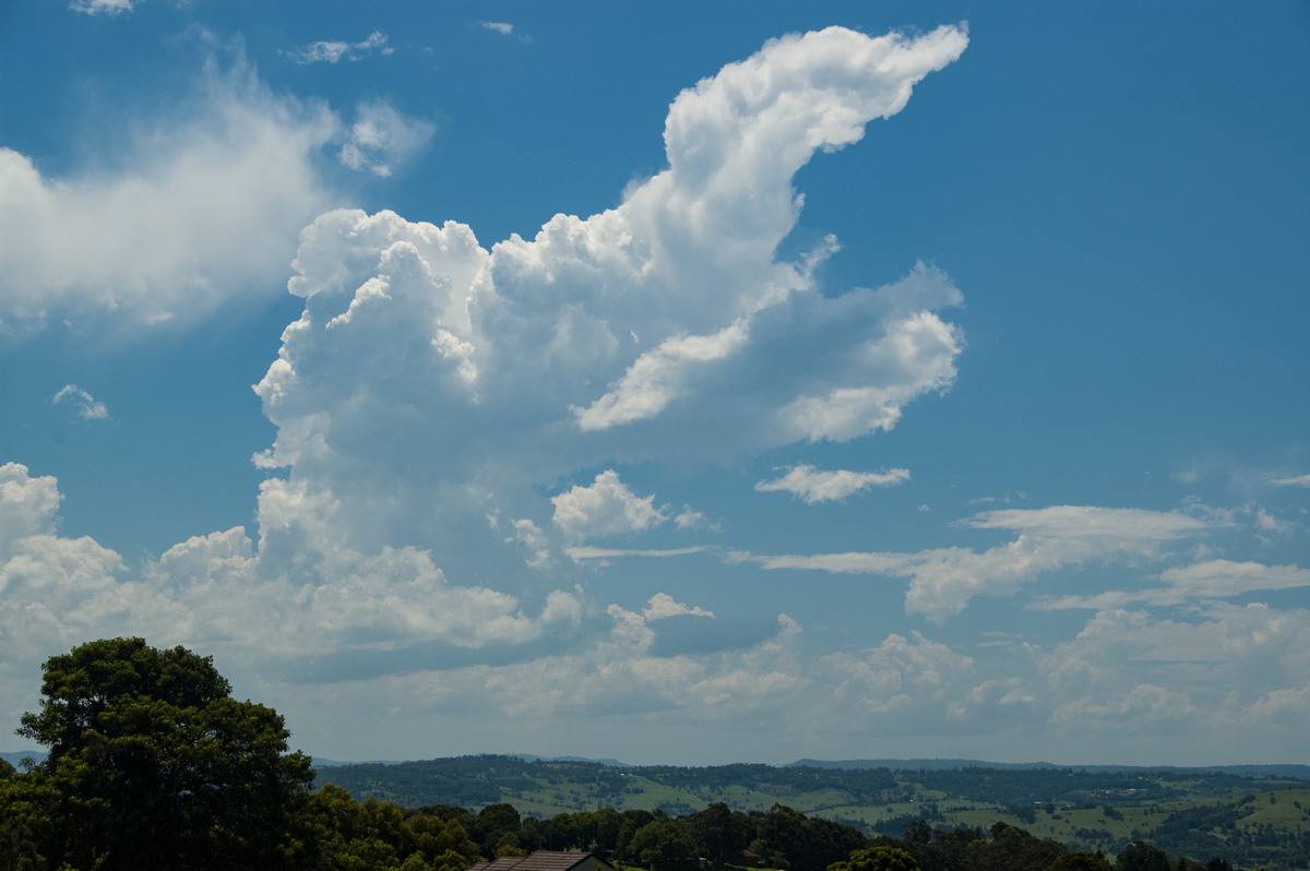 cumulus congestus : McLeans Ridges, NSW   18 December 2008