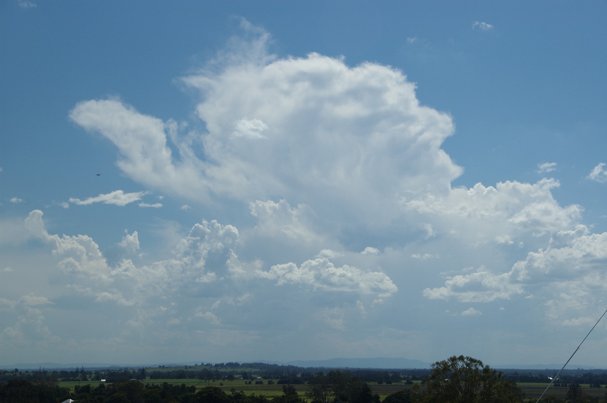 anvil thunderstorm_anvils : Tuckurimba, NSW   18 December 2008