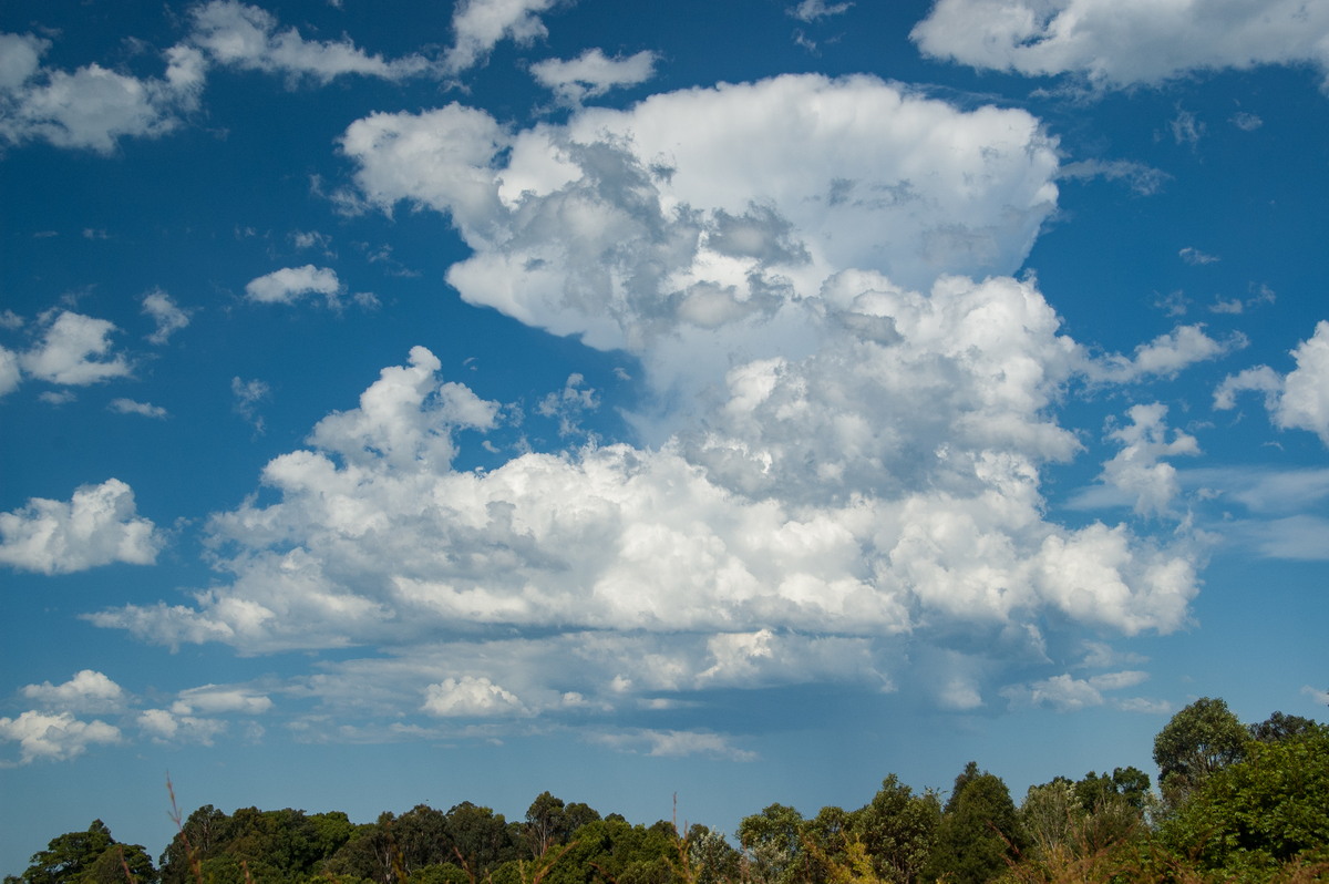 thunderstorm cumulonimbus_incus : McLeans Ridges, NSW   19 December 2008