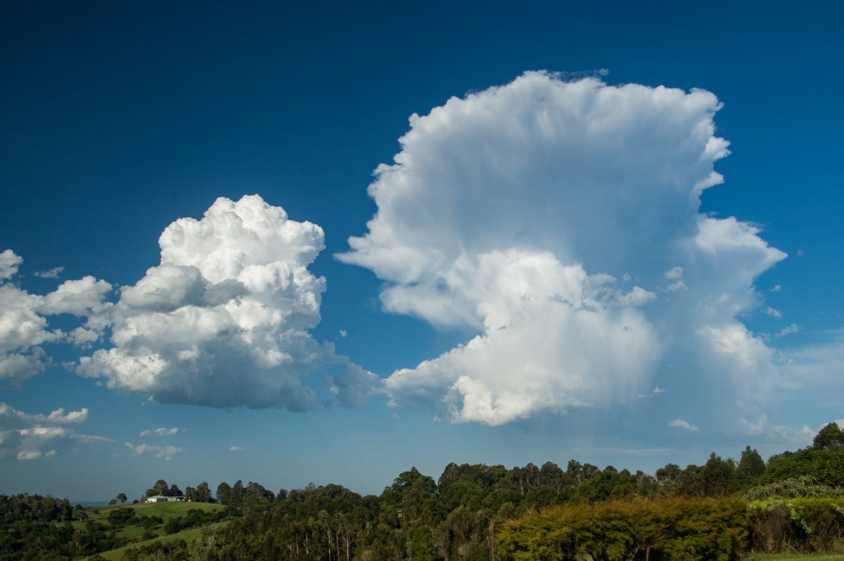 anvil thunderstorm_anvils : McLeans Ridges, NSW   19 December 2008