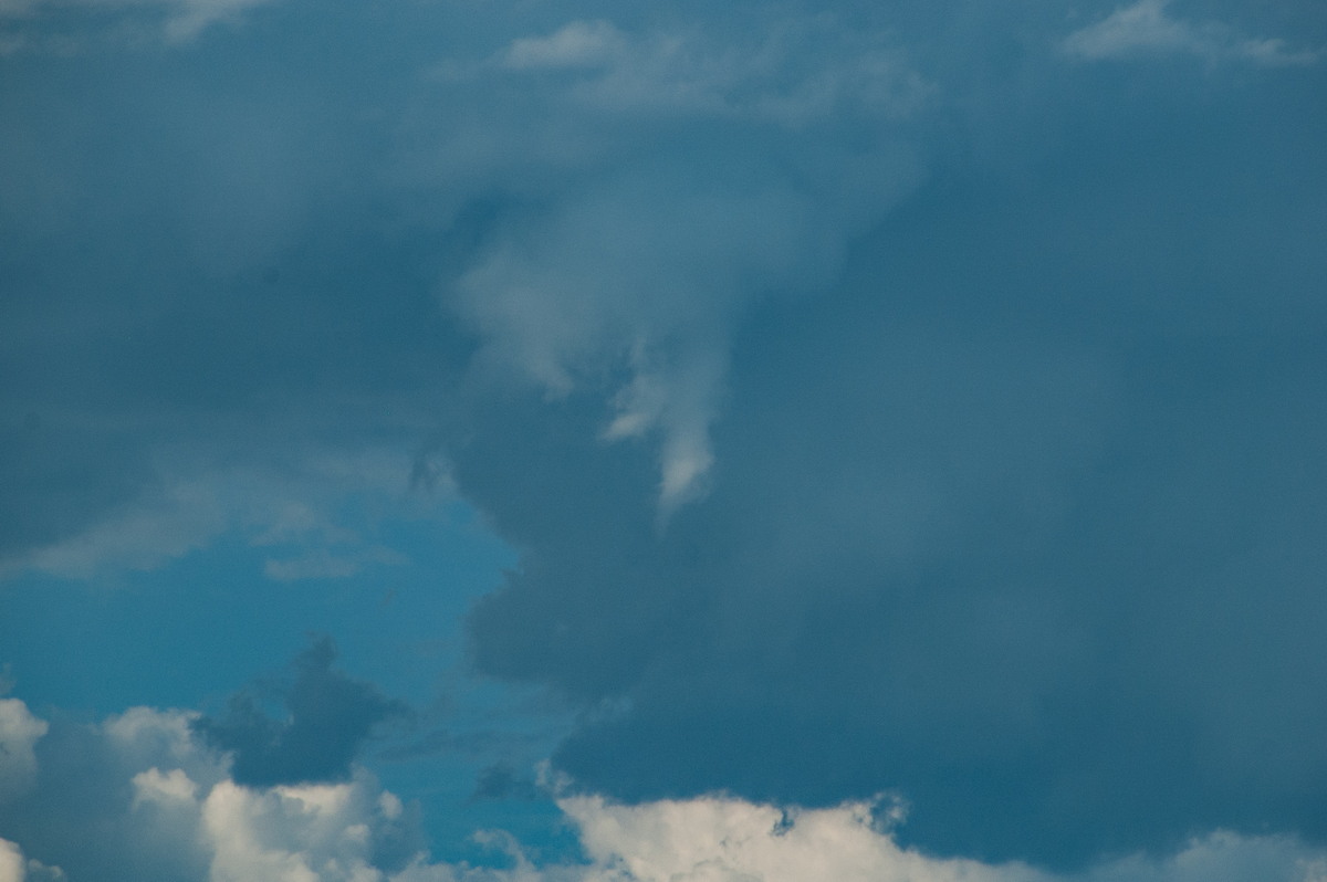 tornadoes funnel_tornado_waterspout : McLeans Ridges, NSW   19 December 2008