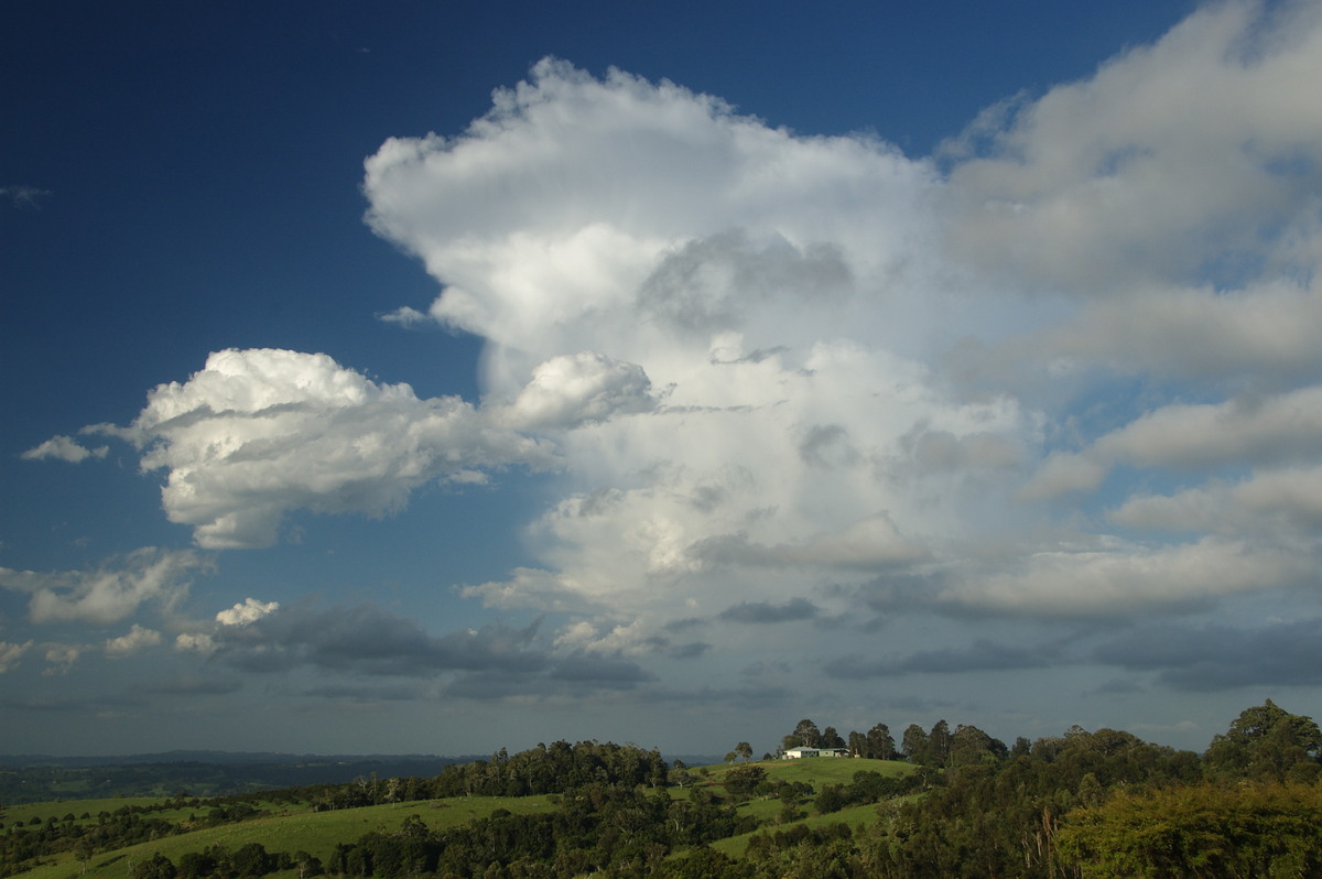 stratus stratus_cloud : McLeans Ridges, NSW   19 December 2008