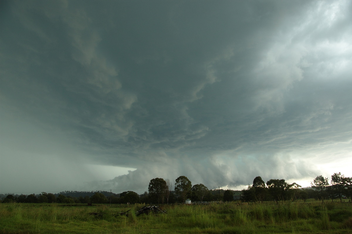 cumulonimbus thunderstorm_base : Kyogle, NSW   24 December 2008