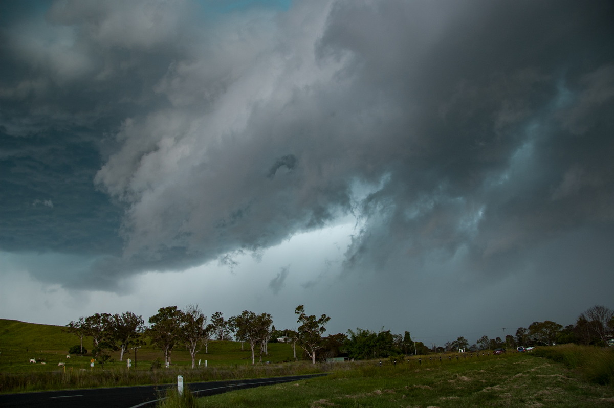 cumulonimbus thunderstorm_base : Kyogle, NSW   24 December 2008