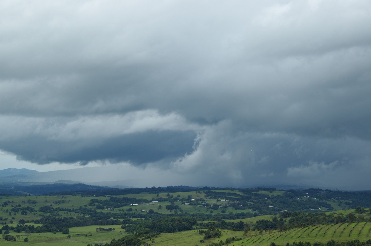 stratus stratus_cloud : McLeans Ridges, NSW   28 December 2008
