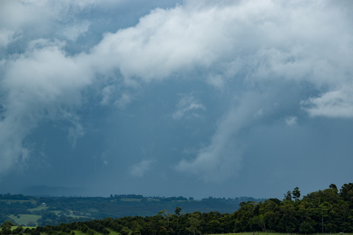 stratus stratus_cloud : McLeans Ridges, NSW   28 December 2008