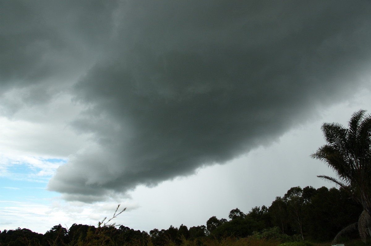 cumulonimbus thunderstorm_base : McLeans Ridges, NSW   28 December 2008