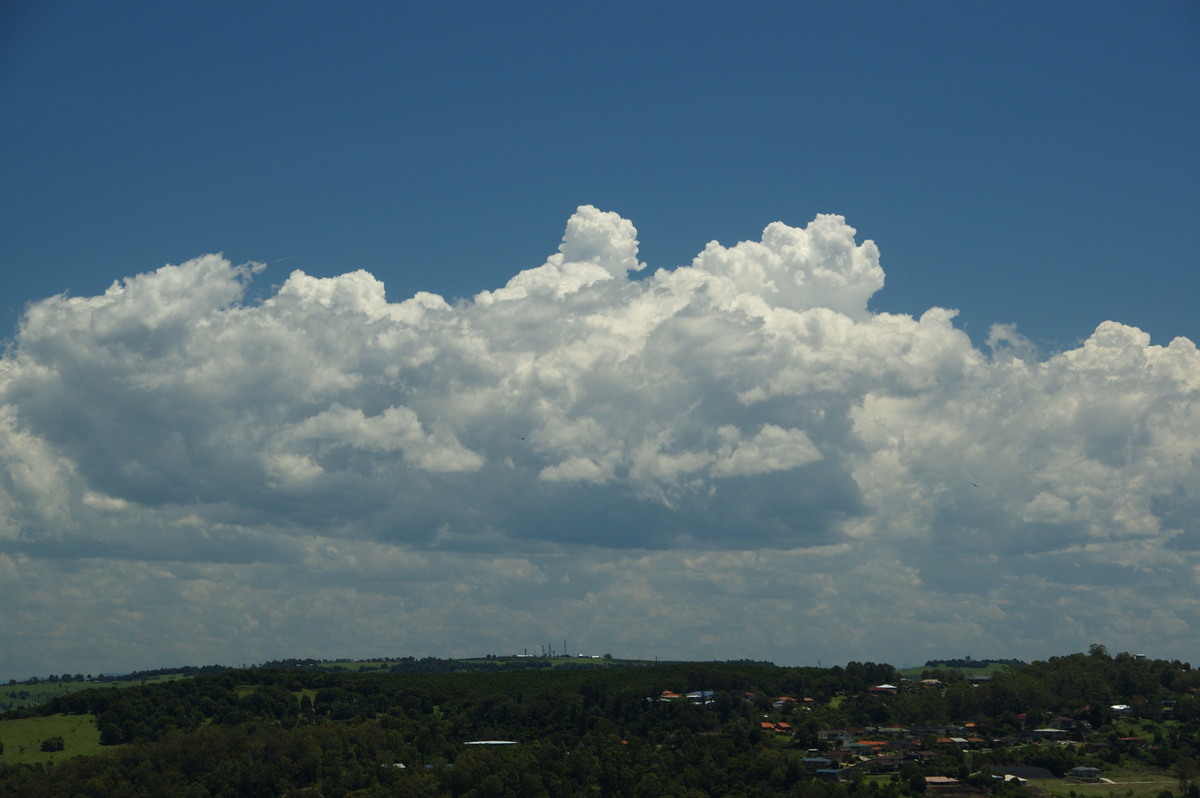 cumulus congestus : Lismore, NSW   30 December 2008