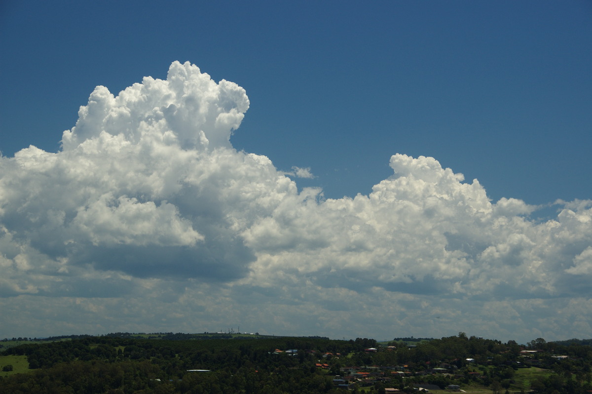 cumulus congestus : Lismore, NSW   30 December 2008