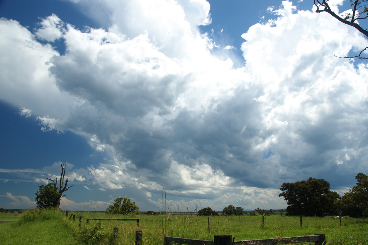 cumulus congestus : McKees Hill, NSW   30 December 2008