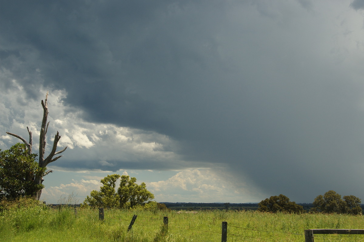 raincascade precipitation_cascade : McKees Hill, NSW   30 December 2008