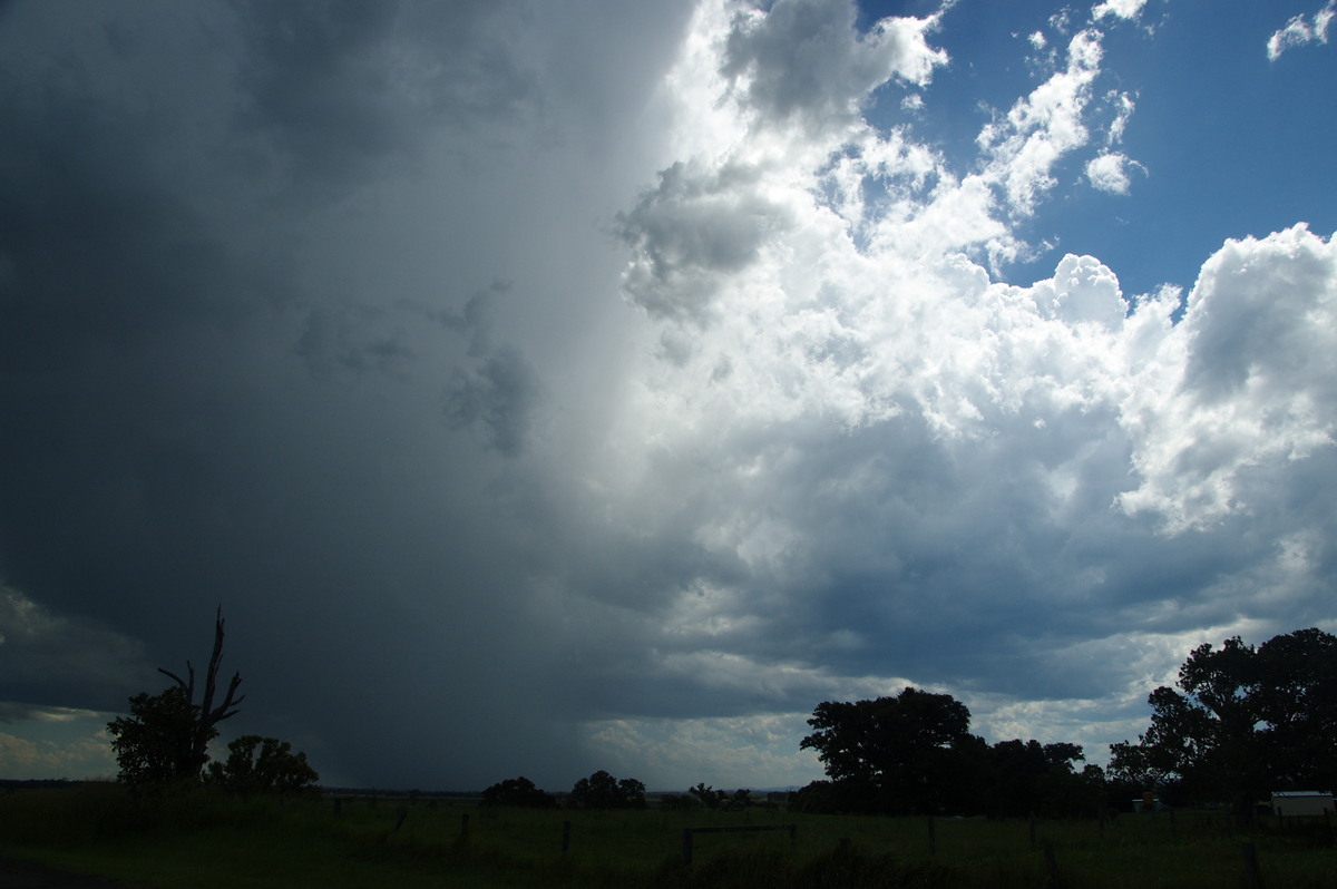 raincascade precipitation_cascade : McKees Hill, NSW   30 December 2008