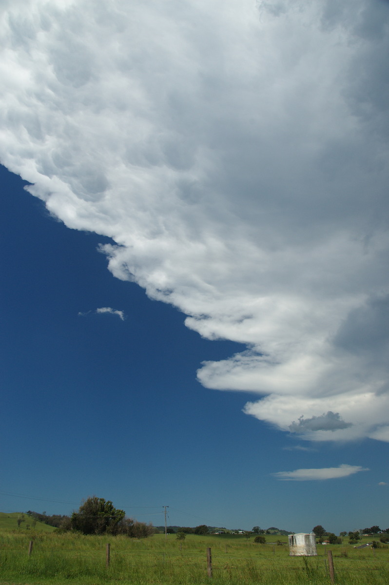 anvil thunderstorm_anvils : McKees Hill, NSW   30 December 2008