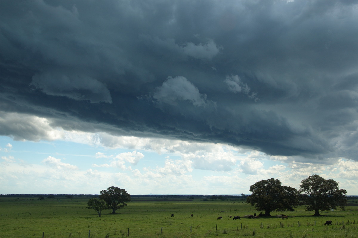 cumulonimbus thunderstorm_base : McKees Hill, NSW   30 December 2008