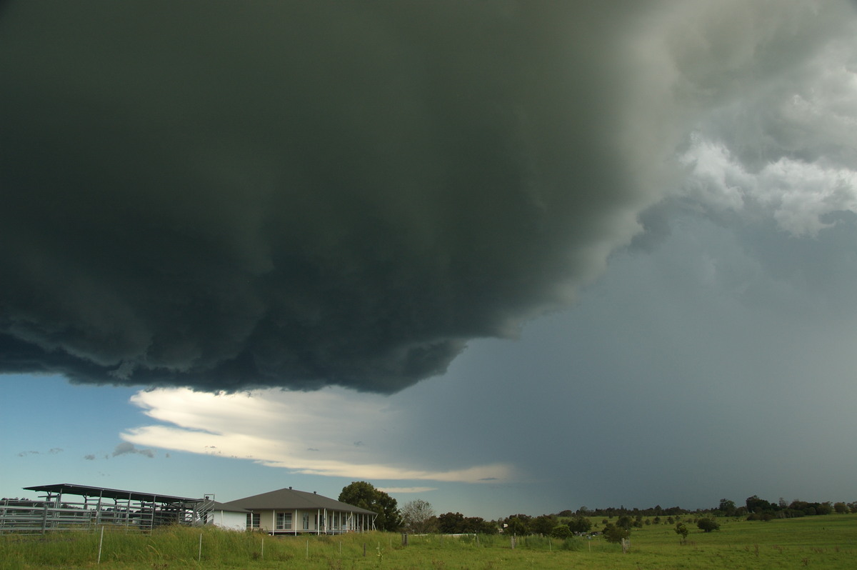 cumulonimbus thunderstorm_base : McKees Hill, NSW   30 December 2008