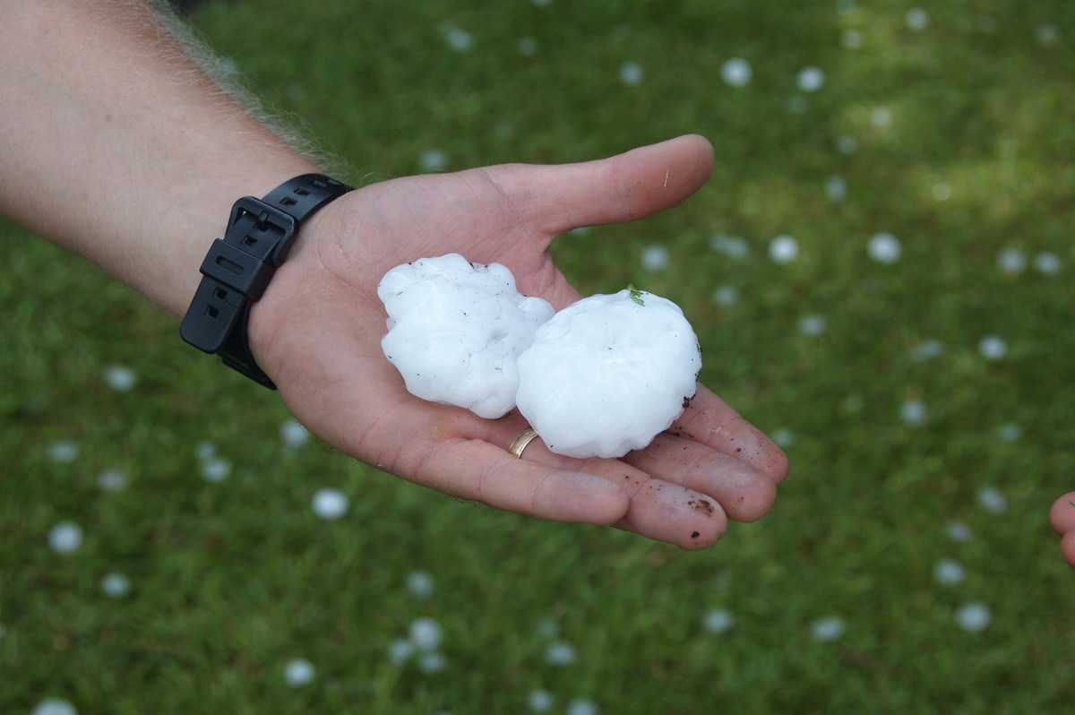 hailstones hail_stones : Lismore, NSW   30 December 2008