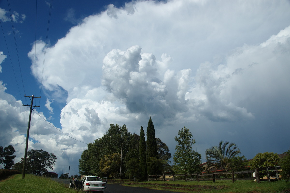 thunderstorm cumulonimbus_incus : McLeans Ridges, NSW   30 December 2008