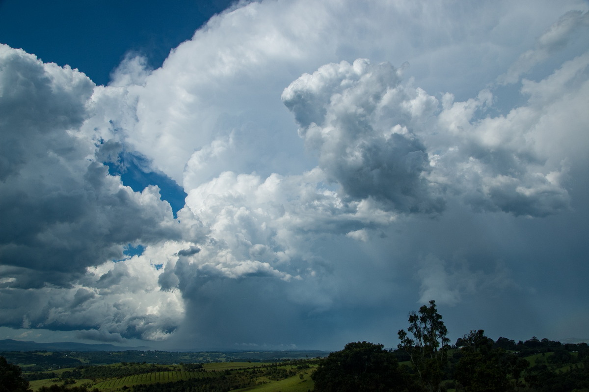 cumulonimbus supercell_thunderstorm : McLeans Ridges, NSW   30 December 2008