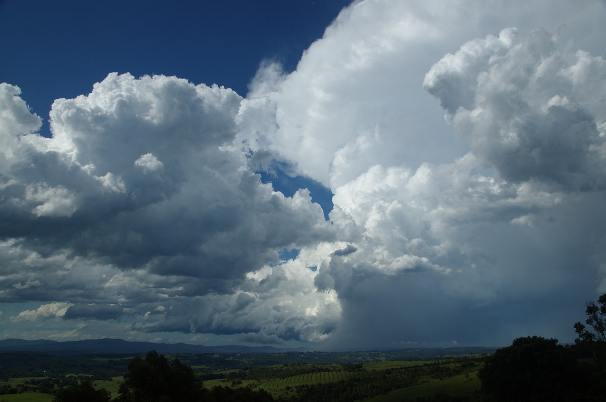 cumulonimbus supercell_thunderstorm : McLeans Ridges, NSW   30 December 2008