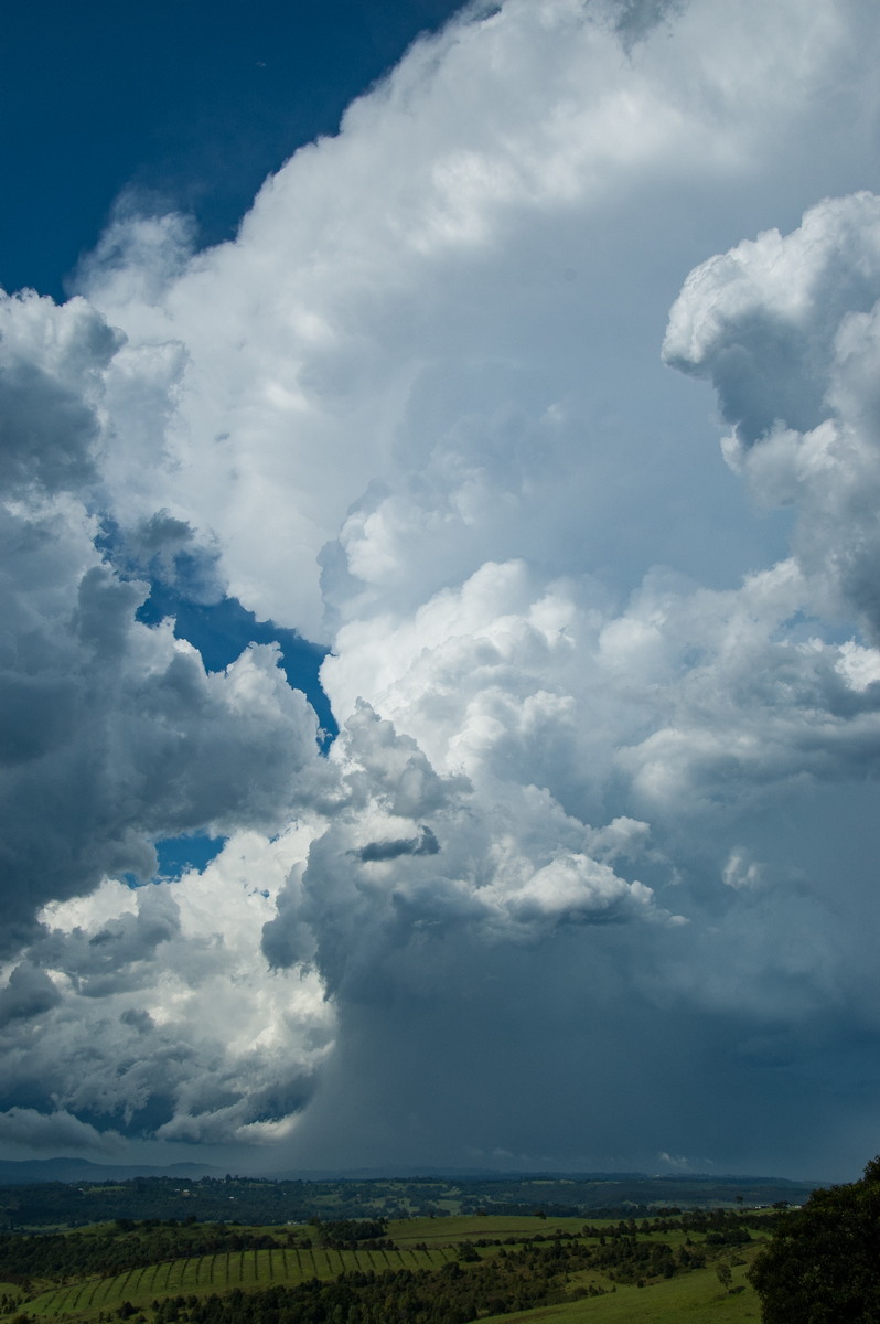 thunderstorm cumulonimbus_incus : McLeans Ridges, NSW   30 December 2008