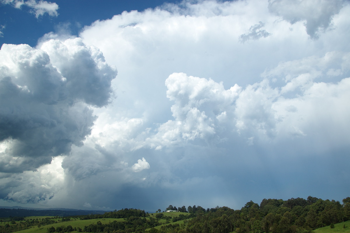 cumulonimbus supercell_thunderstorm : McLeans Ridges, NSW   30 December 2008