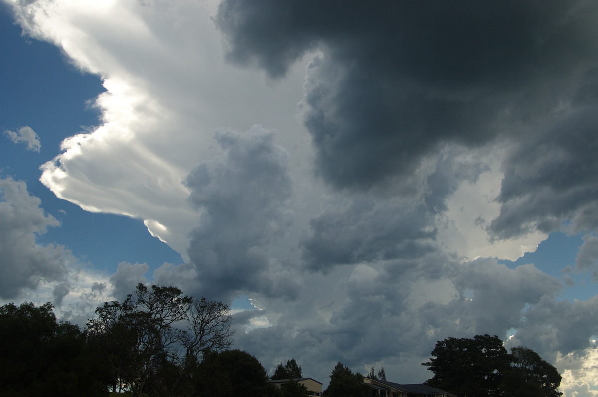 anvil thunderstorm_anvils : McLeans Ridges, NSW   30 December 2008