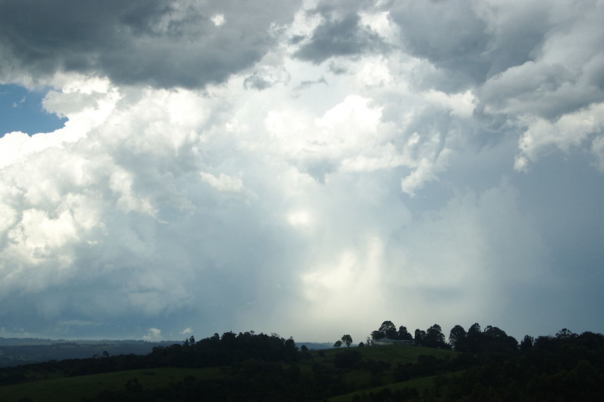 raincascade precipitation_cascade : McLeans Ridges, NSW   30 December 2008