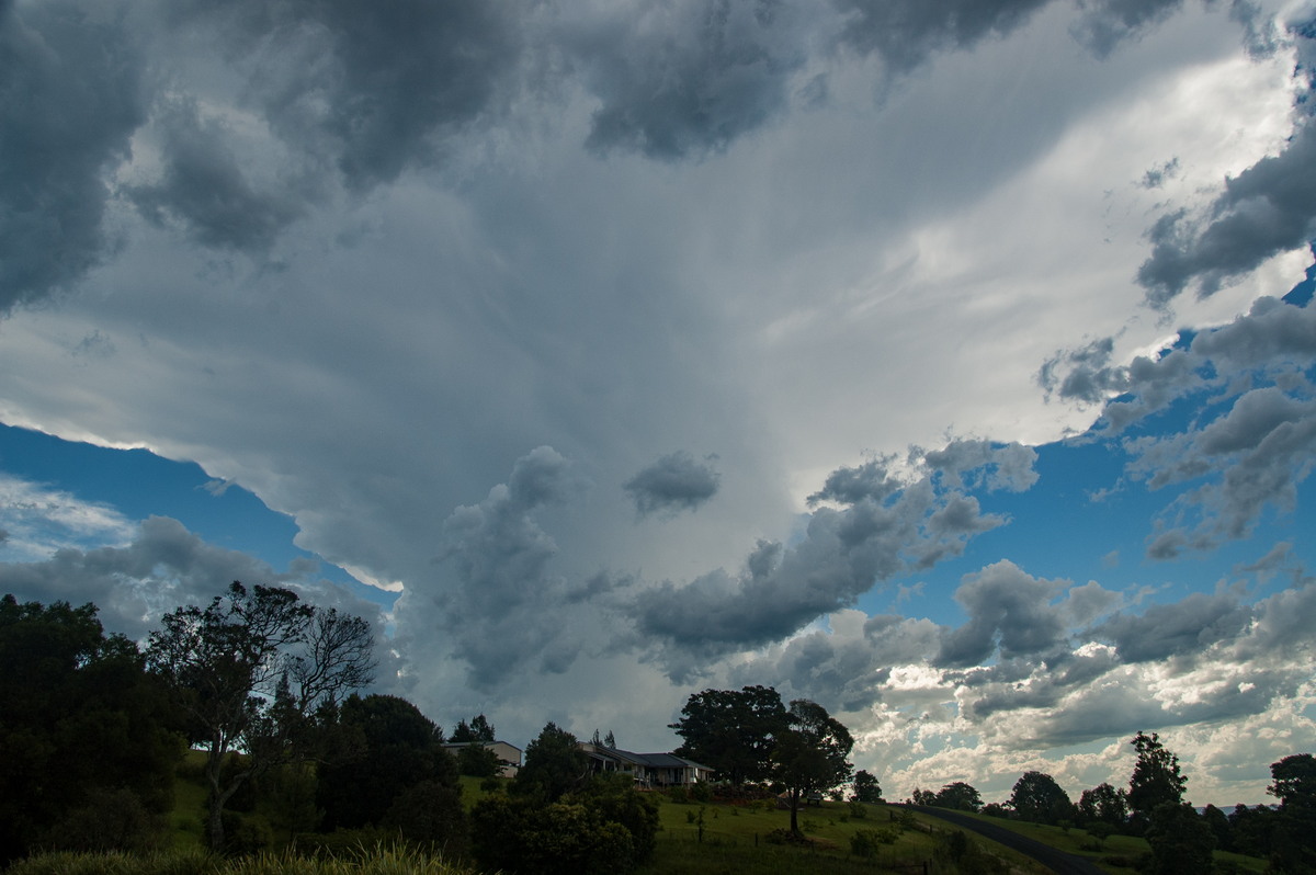 anvil thunderstorm_anvils : McLeans Ridges, NSW   30 December 2008