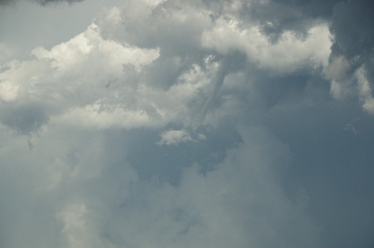 tornadoes funnel_tornado_waterspout : McLeans Ridges, NSW   30 December 2008