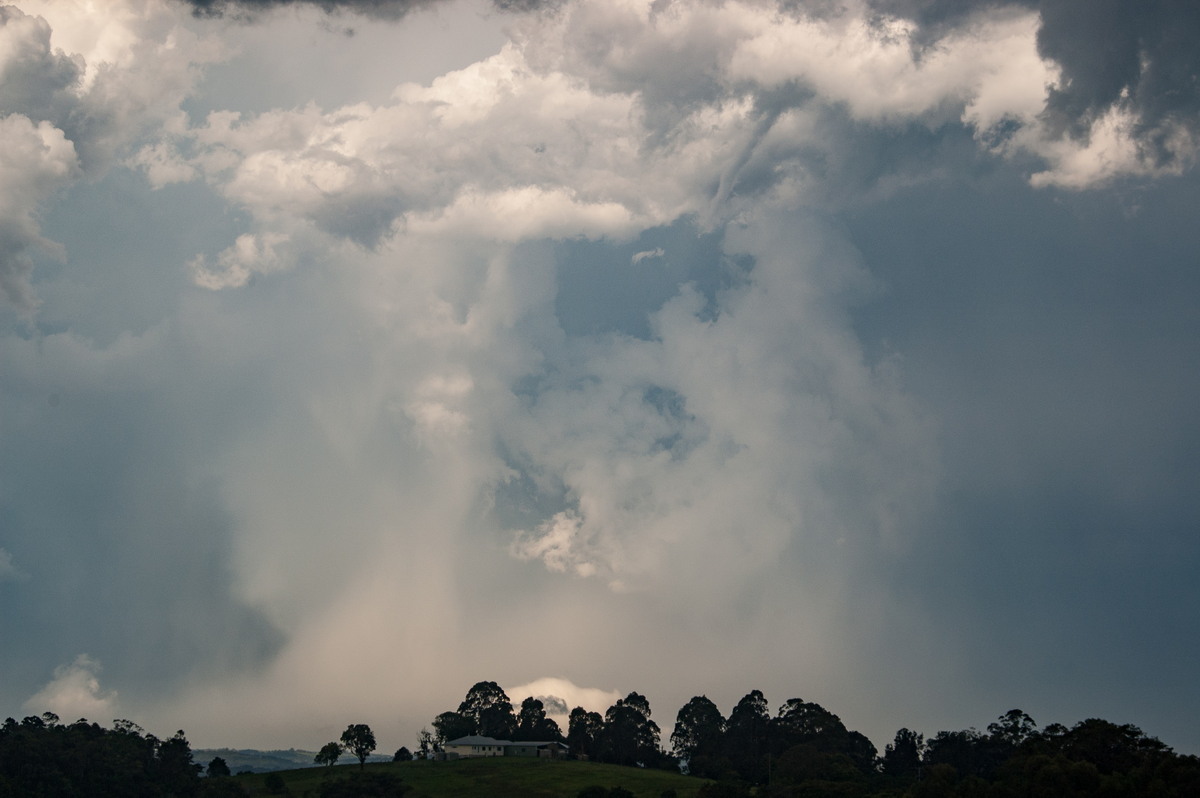 raincascade precipitation_cascade : McLeans Ridges, NSW   30 December 2008