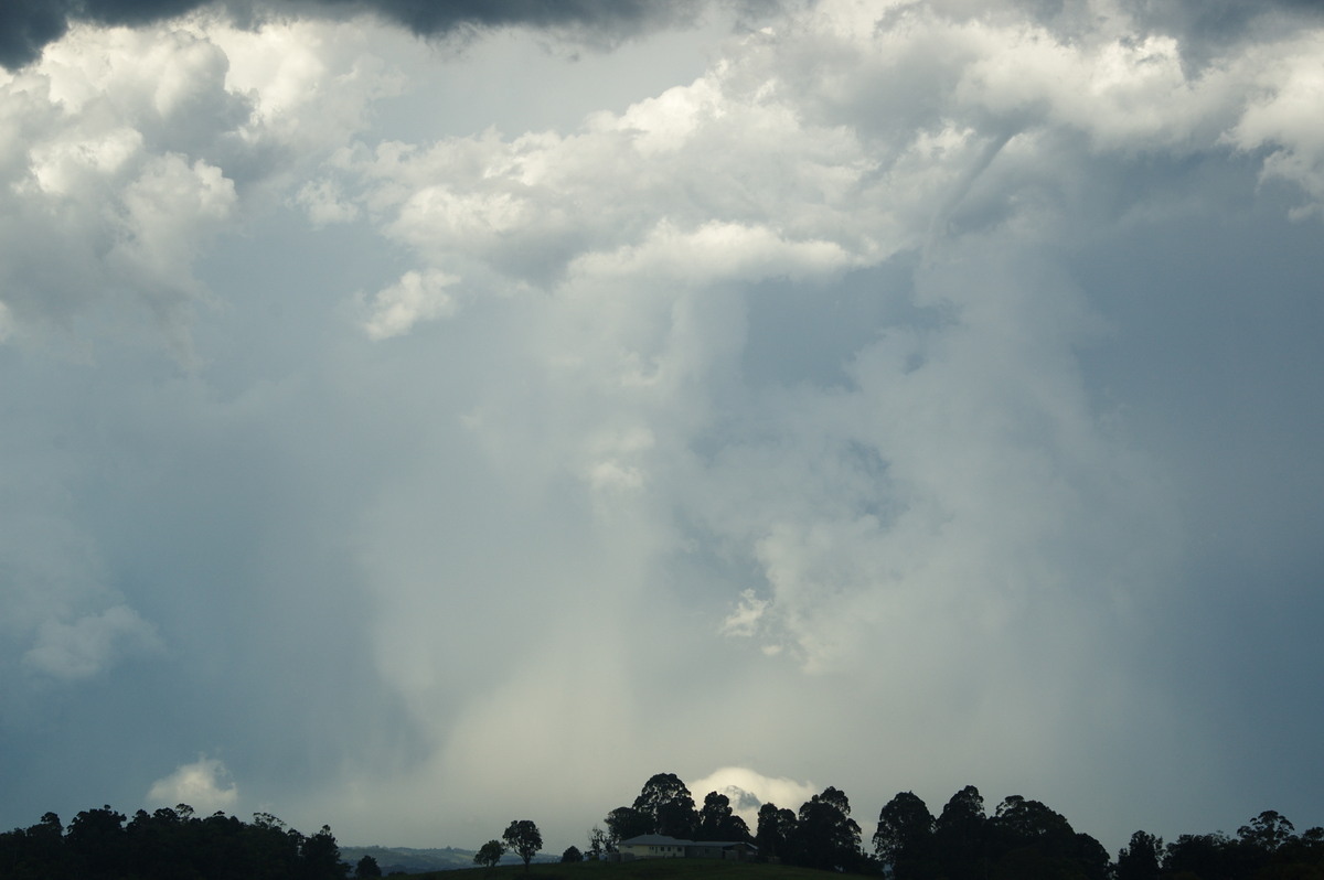 tornadoes funnel_tornado_waterspout : McLeans Ridges, NSW   30 December 2008