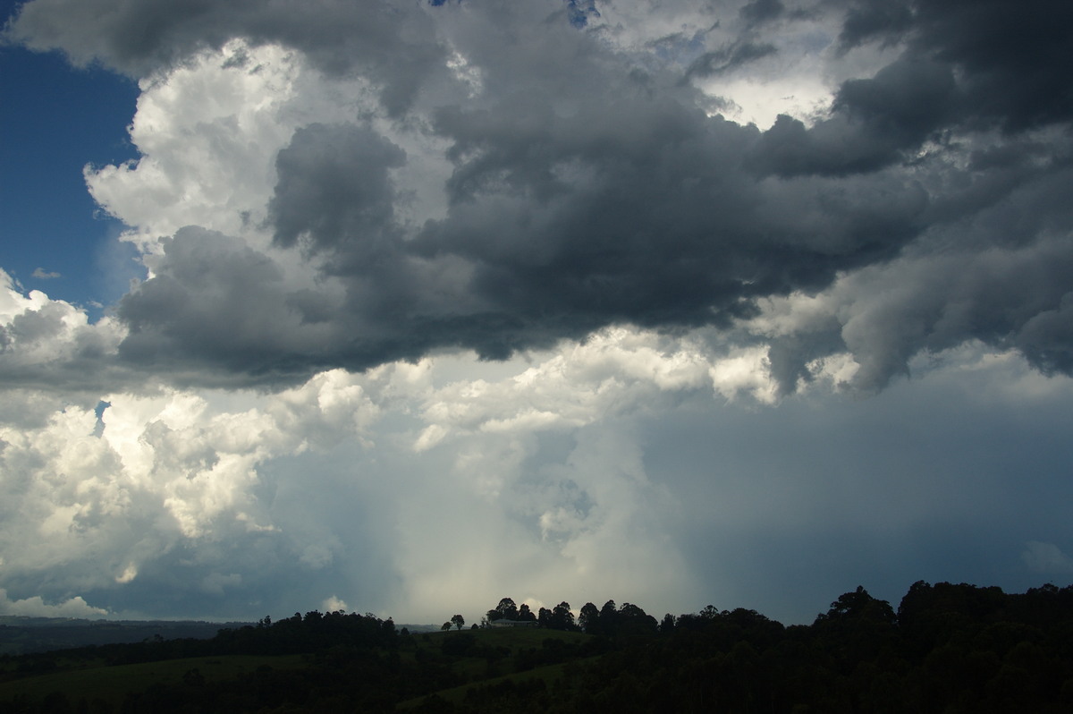 cumulonimbus thunderstorm_base : McLeans Ridges, NSW   30 December 2008
