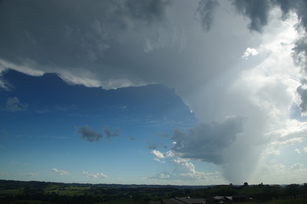 anvil thunderstorm_anvils : McLeans Ridges, NSW   30 December 2008