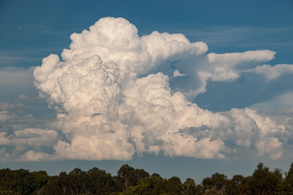 cumulonimbus supercell_thunderstorm : McLeans Ridges, NSW   30 December 2008