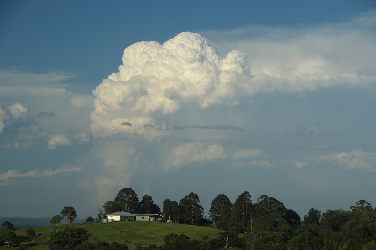 overshoot overshooting_top : McLeans Ridges, NSW   30 December 2008