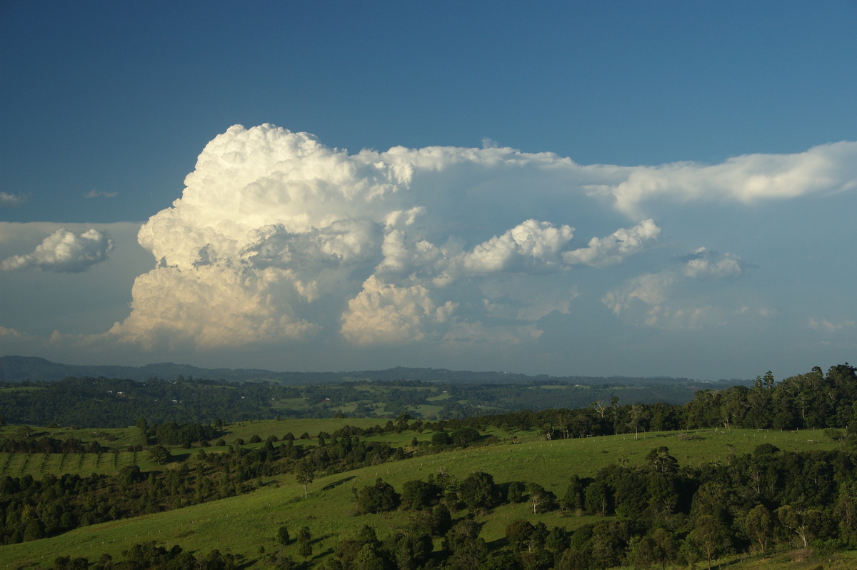 thunderstorm cumulonimbus_incus : McLeans Ridges, NSW   30 December 2008