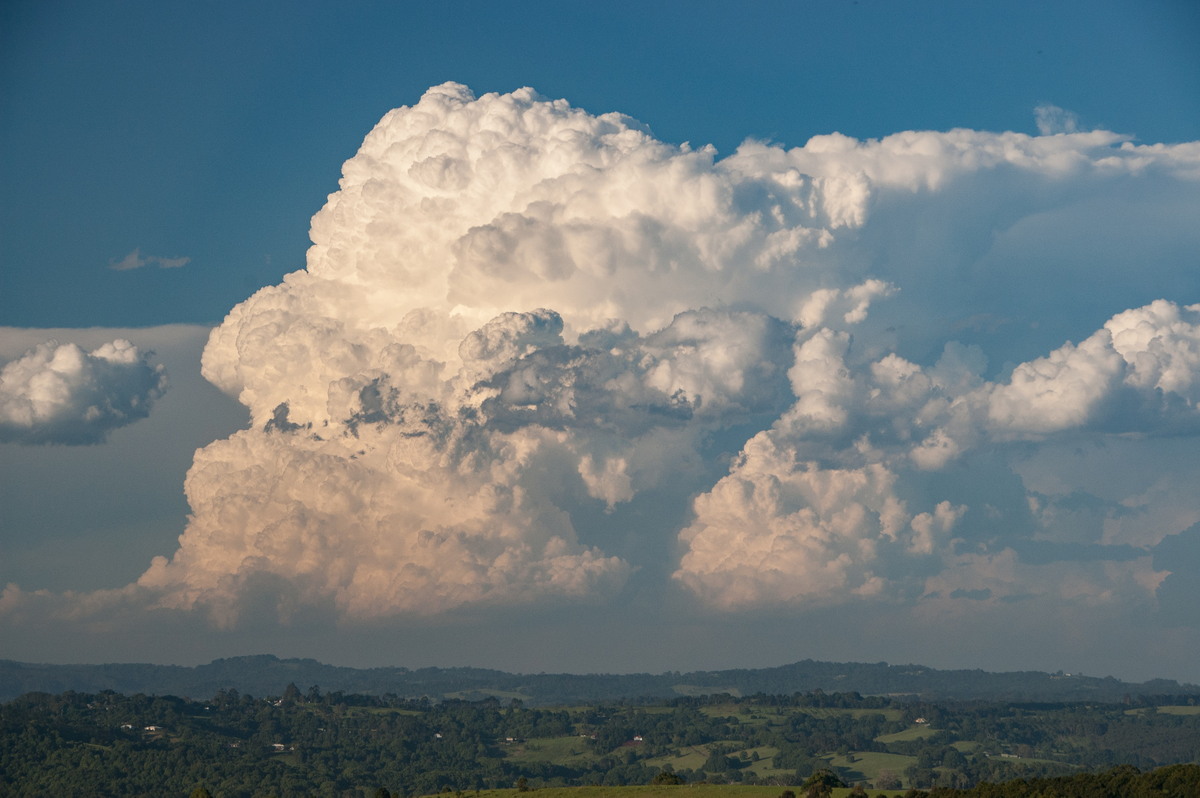 updraft thunderstorm_updrafts : McLeans Ridges, NSW   30 December 2008