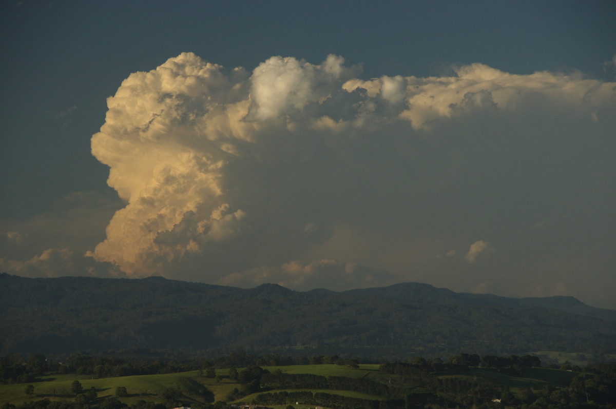 thunderstorm cumulonimbus_incus : McLeans Ridges, NSW   30 December 2008