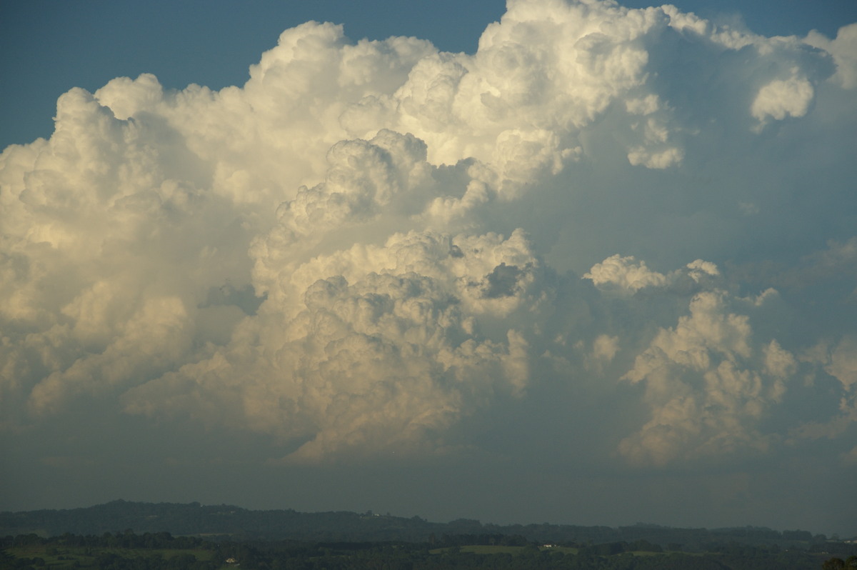 thunderstorm cumulonimbus_incus : McLeans Ridges, NSW   30 December 2008