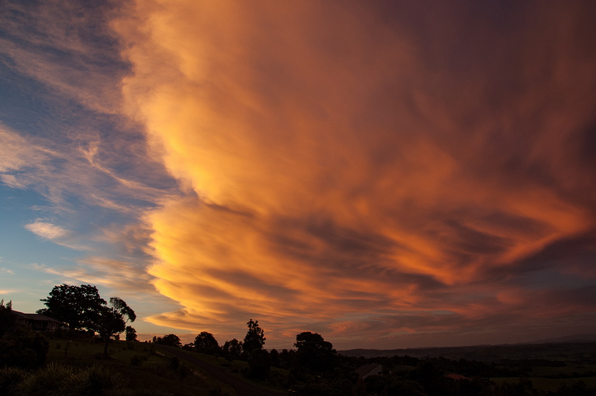 favourites michael_bath : McLeans Ridges, NSW   4 January 2009