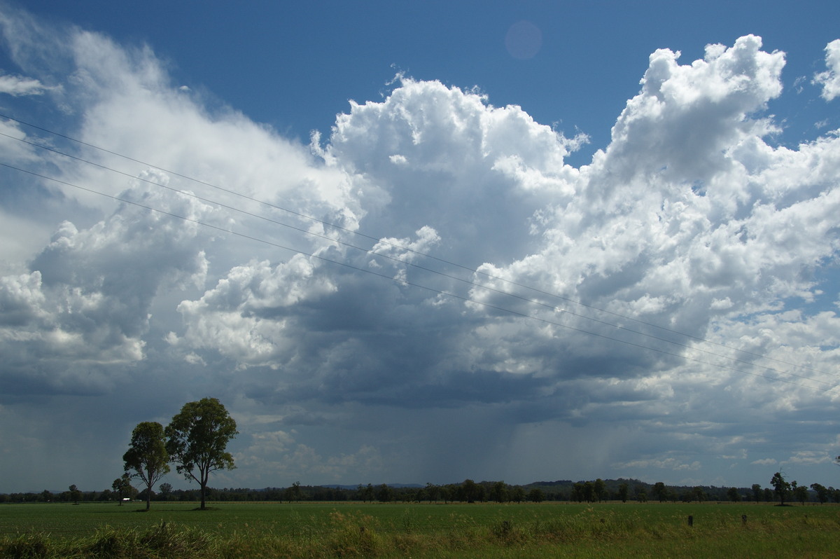 cumulus congestus : Shannon Brook, NSW   16 January 2009