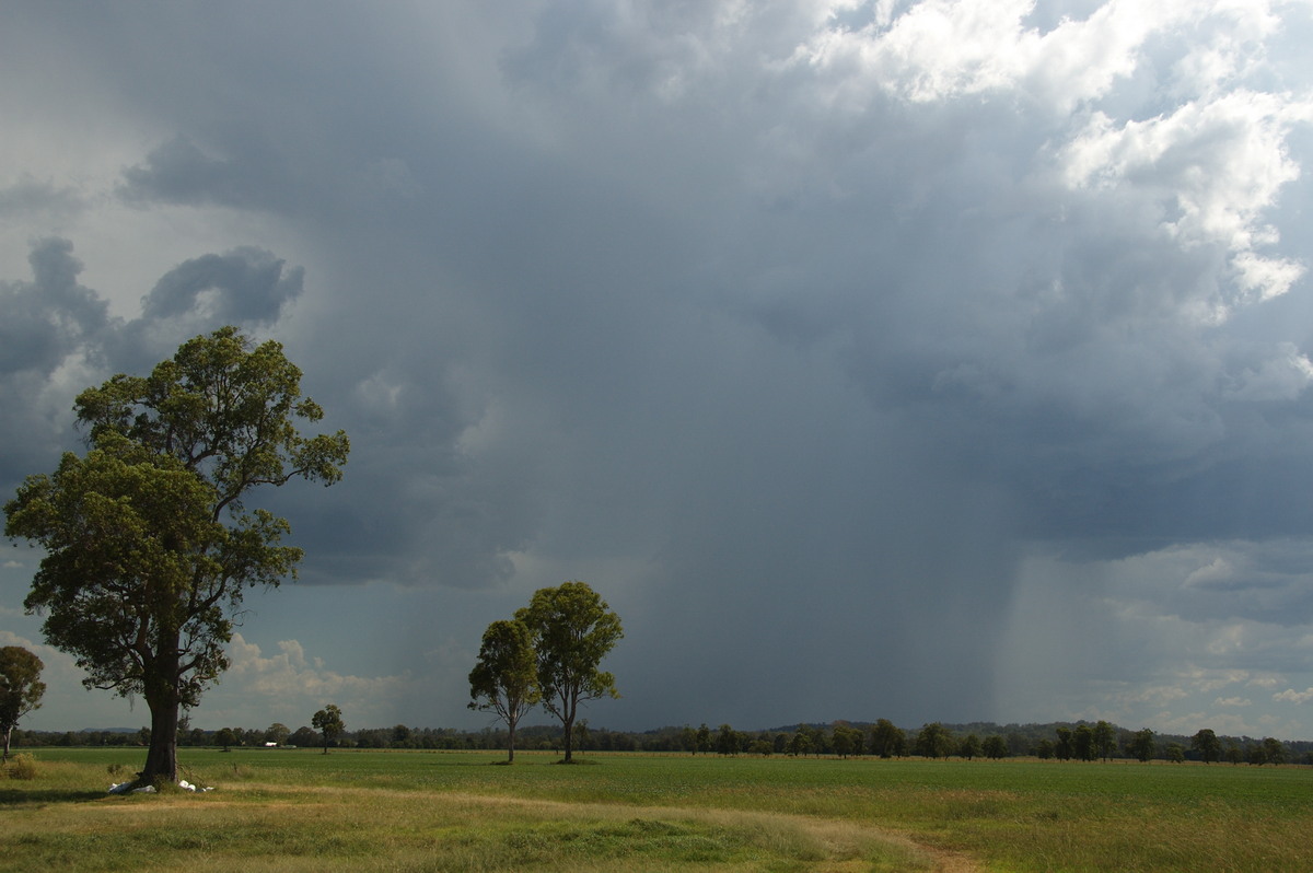 raincascade precipitation_cascade : Shannon Brook, NSW   16 January 2009
