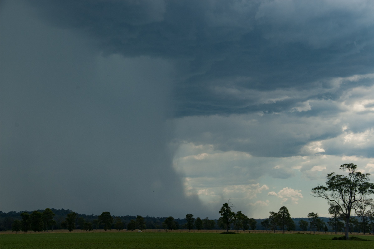 microburst micro_burst : Shannon Brook, NSW   16 January 2009