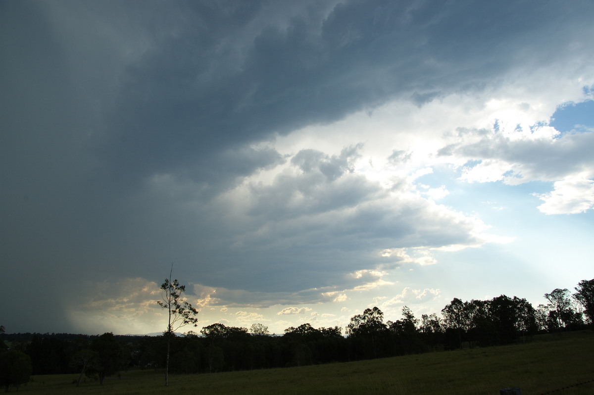 cumulonimbus thunderstorm_base : Junction Hill, NSW   16 January 2009