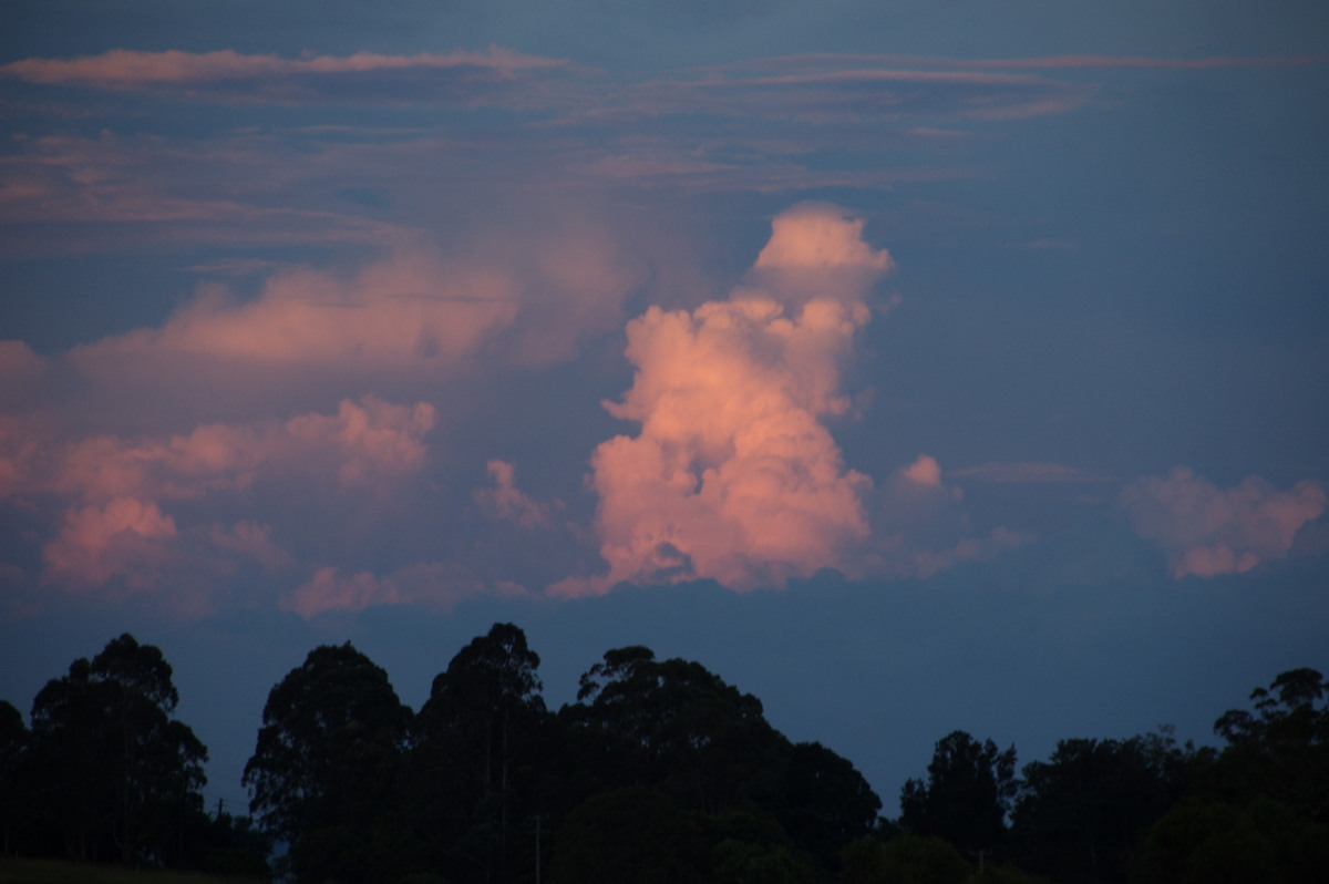 cumulus congestus : McLeans Ridges, NSW   23 January 2009